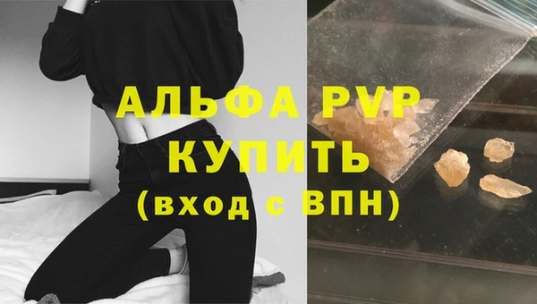 молекула духа Богданович