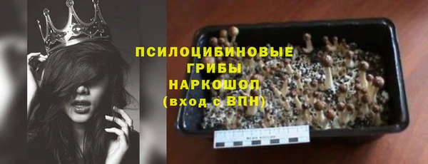 spice Богородицк