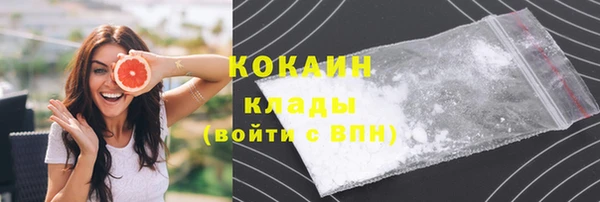 молекула духа Богданович