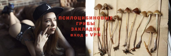 молекула духа Богданович
