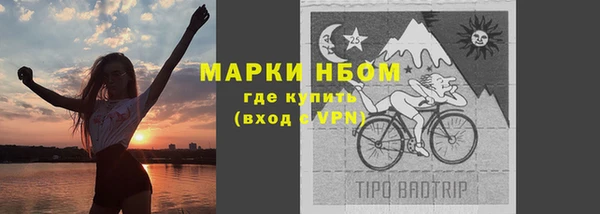 spice Богородицк