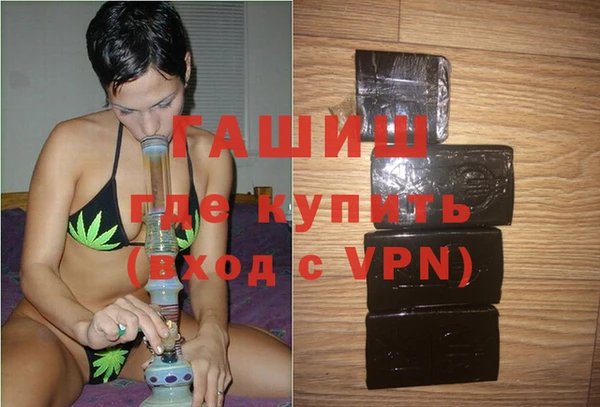spice Богородицк