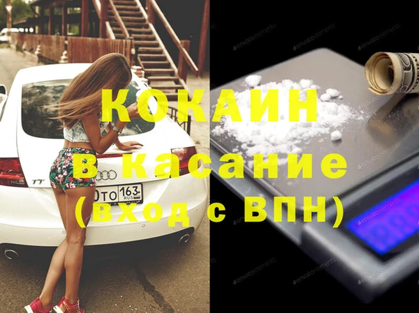 молекула духа Богданович