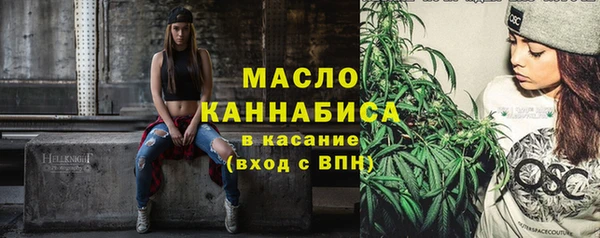 молекула духа Богданович