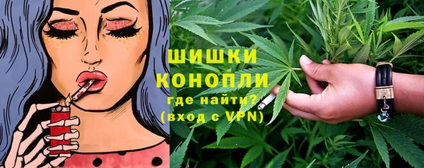 молекула духа Богданович