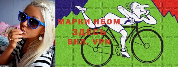 молекула духа Богданович