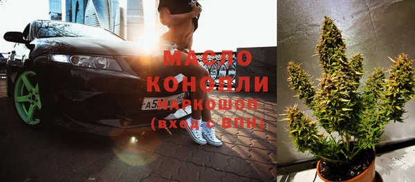 молекула духа Богданович