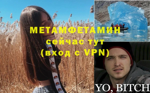 молекула духа Богданович