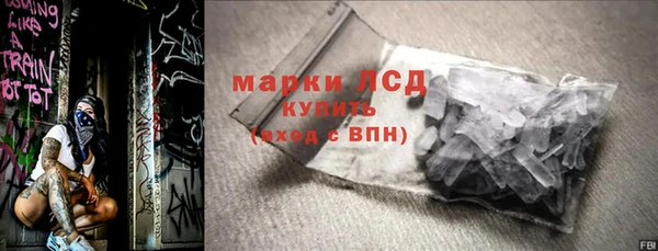 молекула духа Богданович