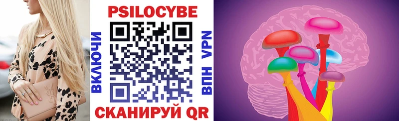 Псилоцибиновые грибы Psilocybe купить сайты Велиж